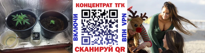 Дистиллят ТГК гашишное масло  купить наркоту  Новая Ладога 